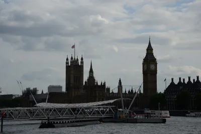 DSC_2799 (Large).JPG